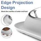 Elevated Stainless Steel Pet Food Bowl with Stands, Raised Dog Cat Feeding Bowls Set Suitable for Cats and Small Dogs, Gray