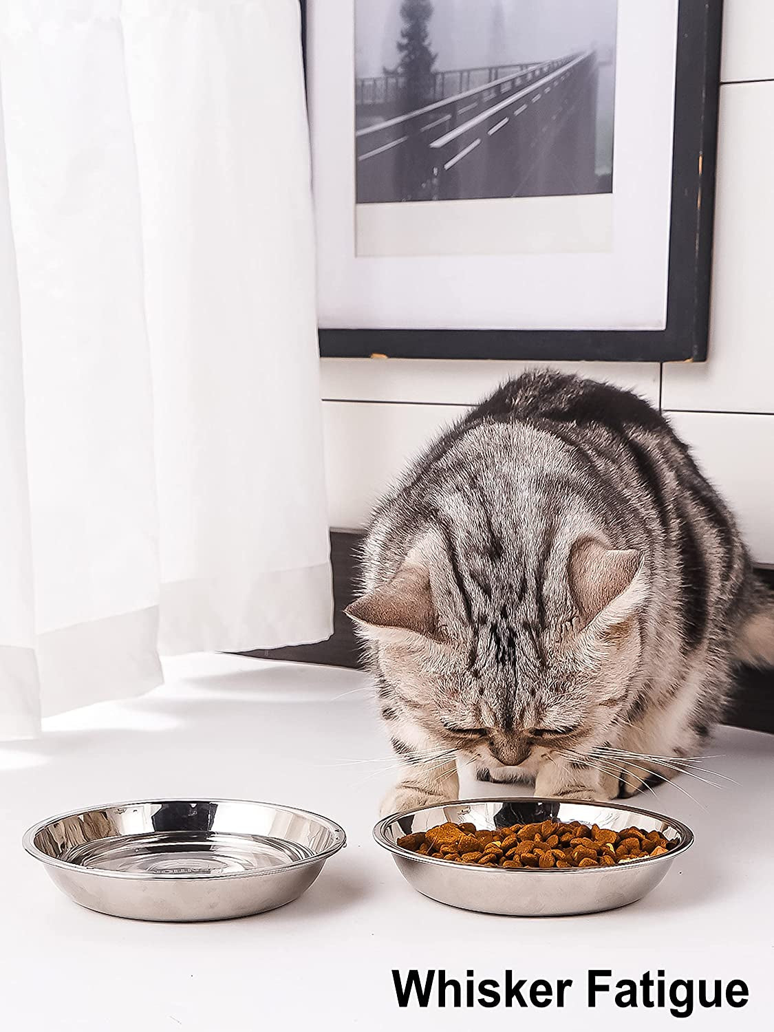 Stainless Steel Shallow Cat Food Bowl 5.8 Inch, Small Whisker Fatigue Cat Food Dish 10.8 Fl.Oz, Replacement Basic Kitten Bowls Bulk for Elevated Stand, Dishwasher Safe (Set of 2)